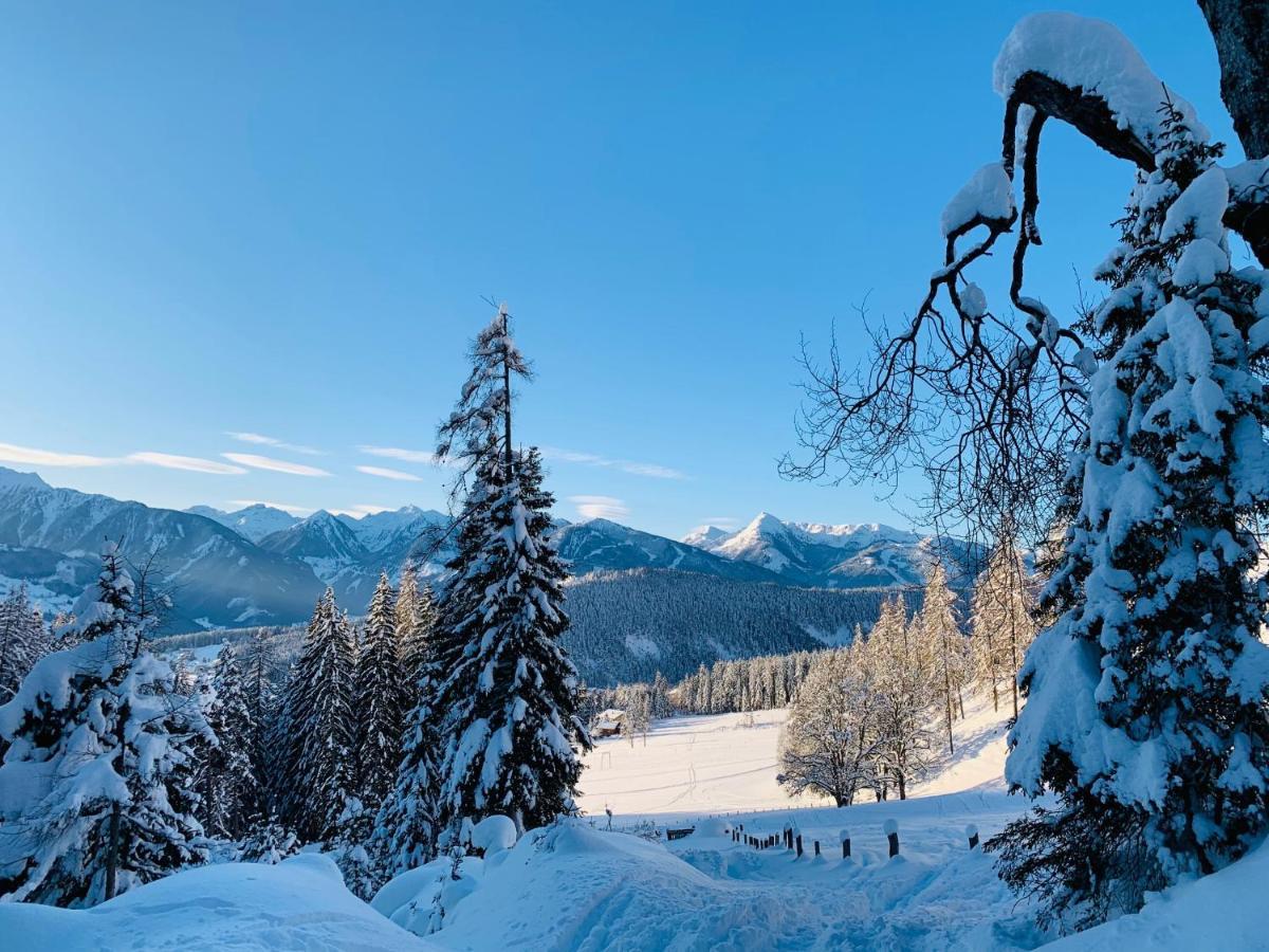 Bergkristallhaus Ramsau am Dachstein Extérieur photo