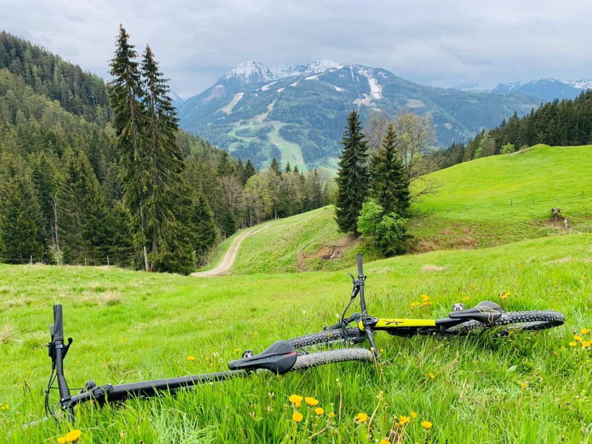 Bergkristallhaus Ramsau am Dachstein Extérieur photo