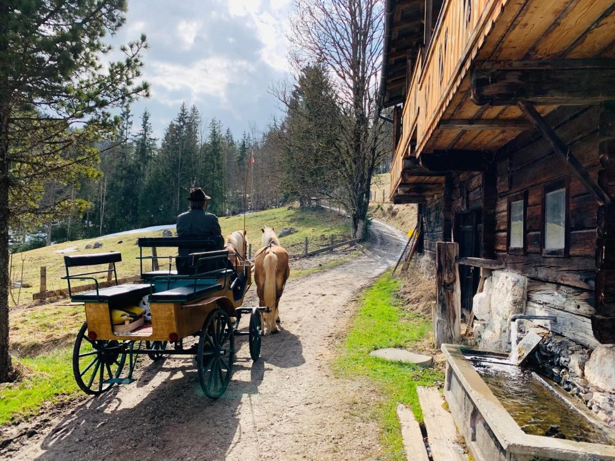 Bergkristallhaus Ramsau am Dachstein Extérieur photo