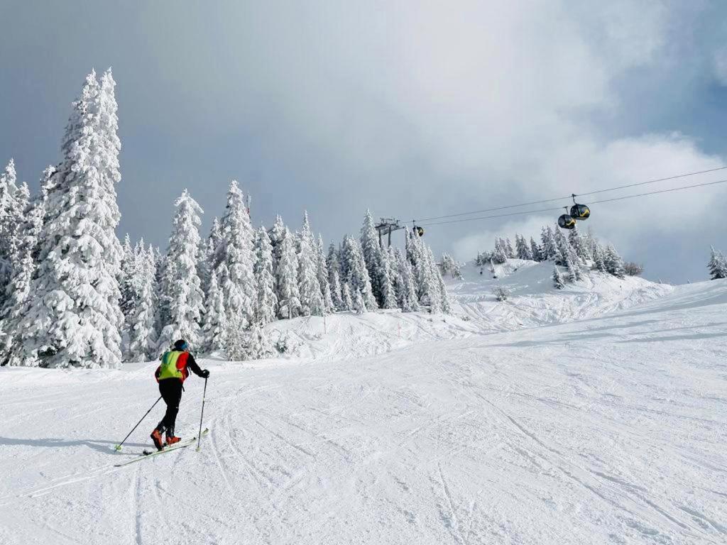 Bergkristallhaus Ramsau am Dachstein Extérieur photo