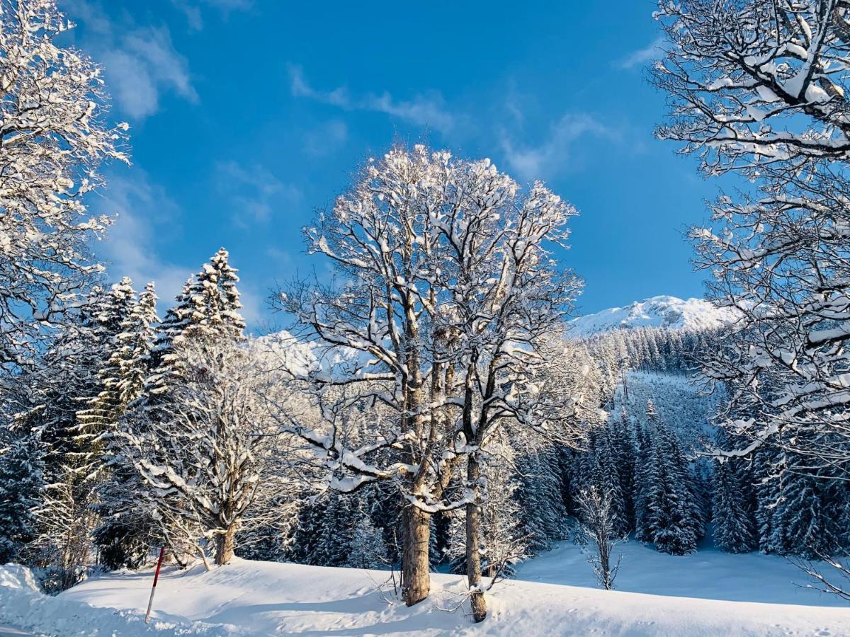 Bergkristallhaus Ramsau am Dachstein Extérieur photo